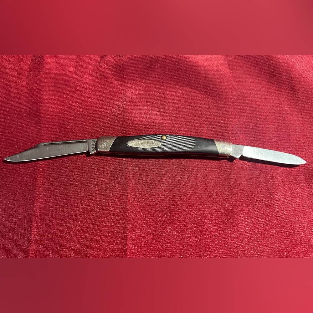 Vintage Buck 309 Companion